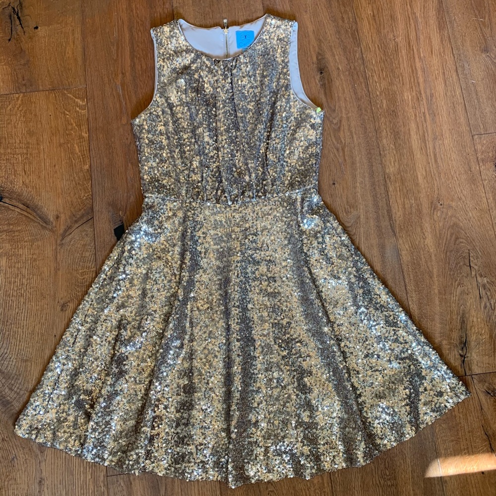 Gold/bronze sequin dress!